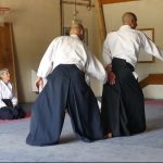 Aikido au cours d'un stage Taichi Qigong Meditation Aikido dans la Drôme en juillet